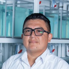 Max Stevens Castañeda Franco