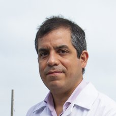 Manuel Francisco Ugarte Gil